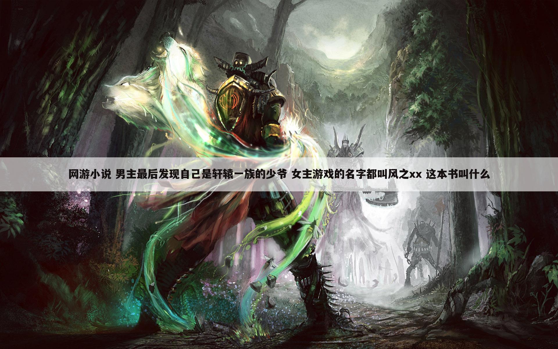 网游小说 男主最后发现自己是轩辕一族的少爷 女主游戏的名字都叫风之xx 这本书叫什么