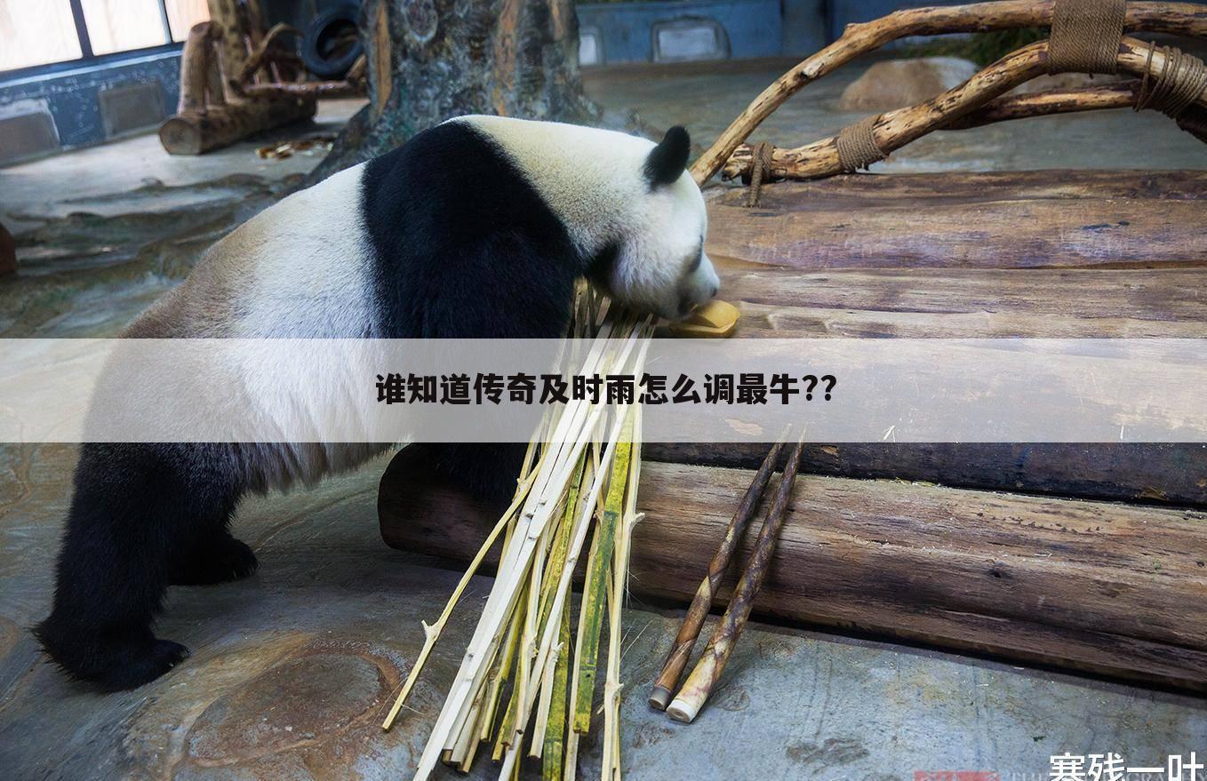 谁知道传奇及时雨怎么调最牛??