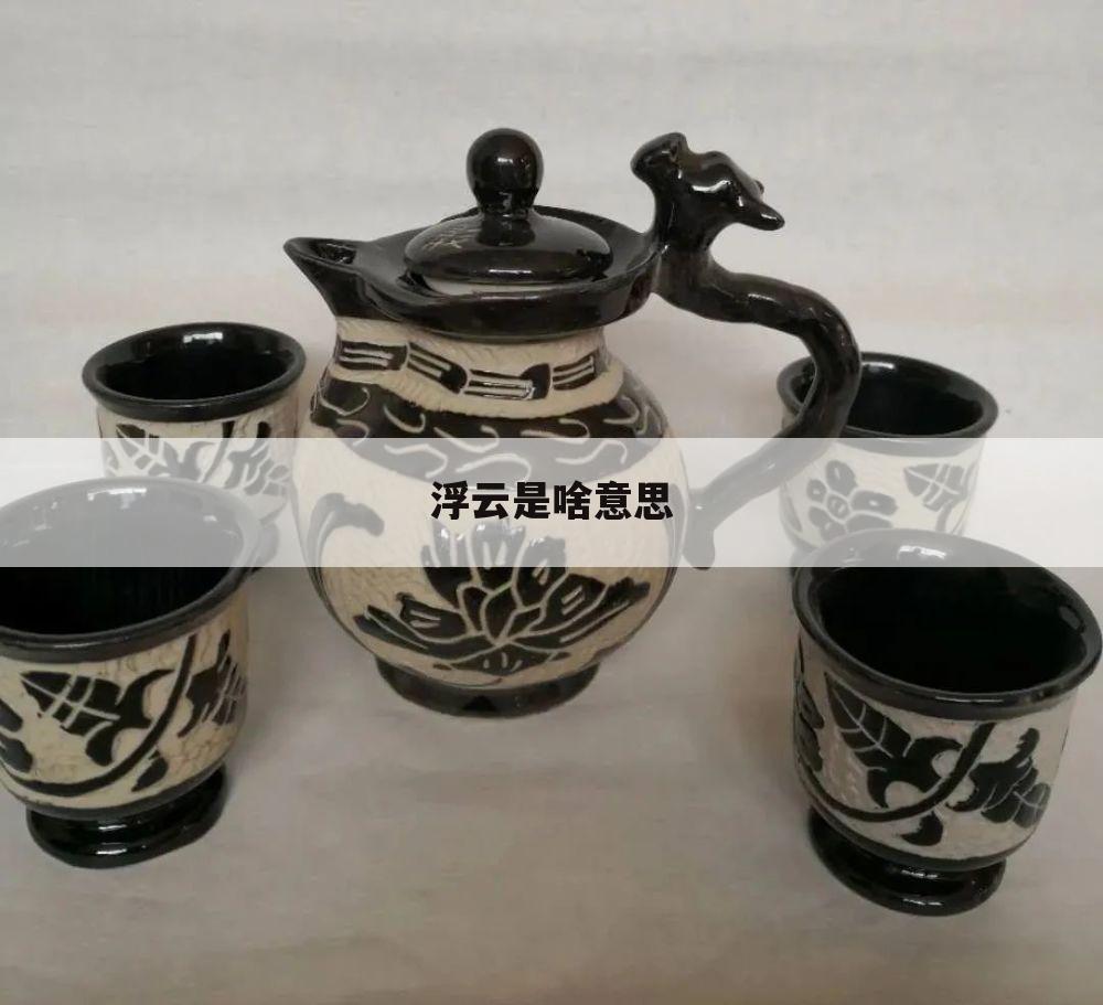 浮云是啥意思