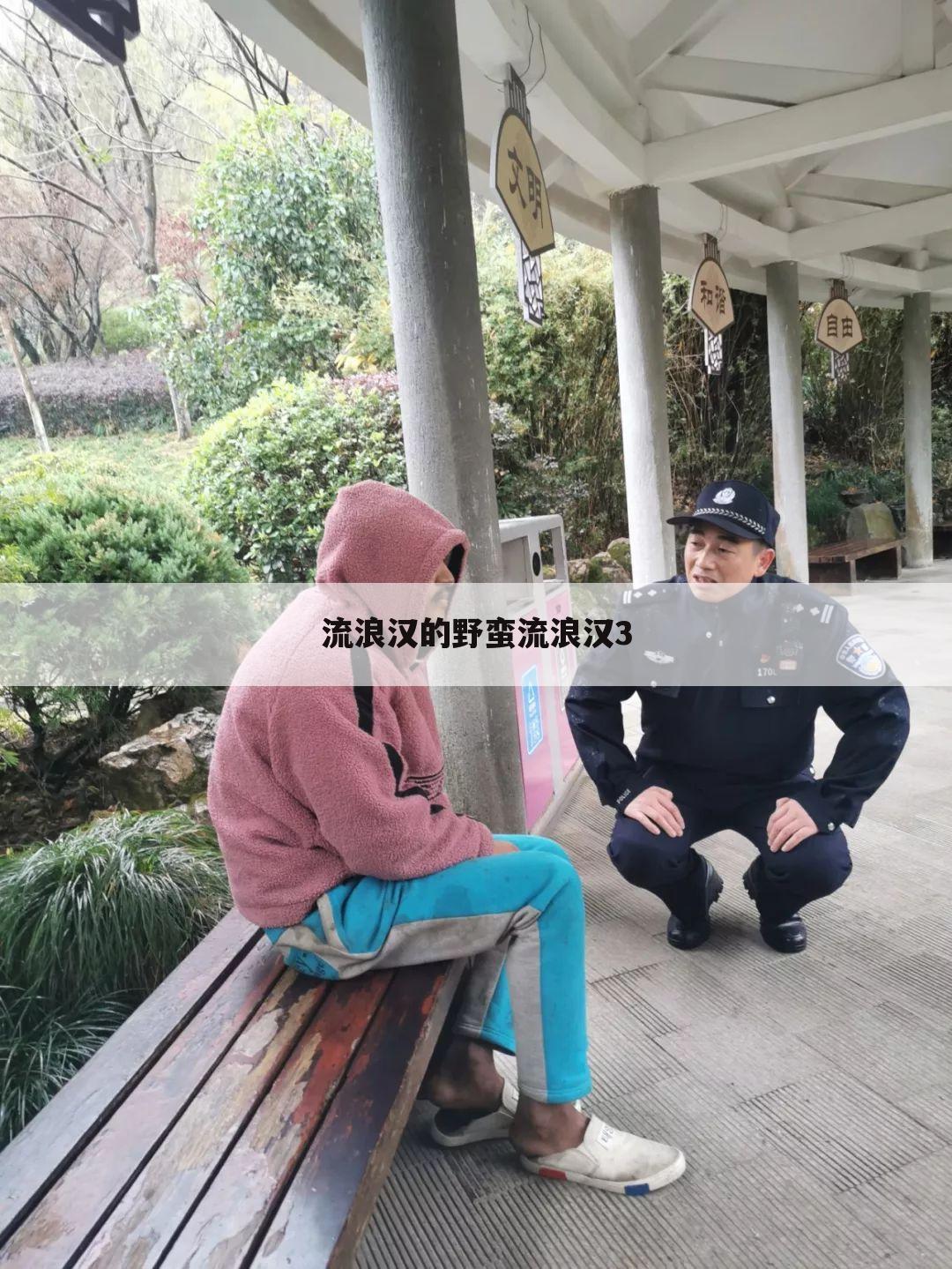 流浪汉的野蛮流浪汉3