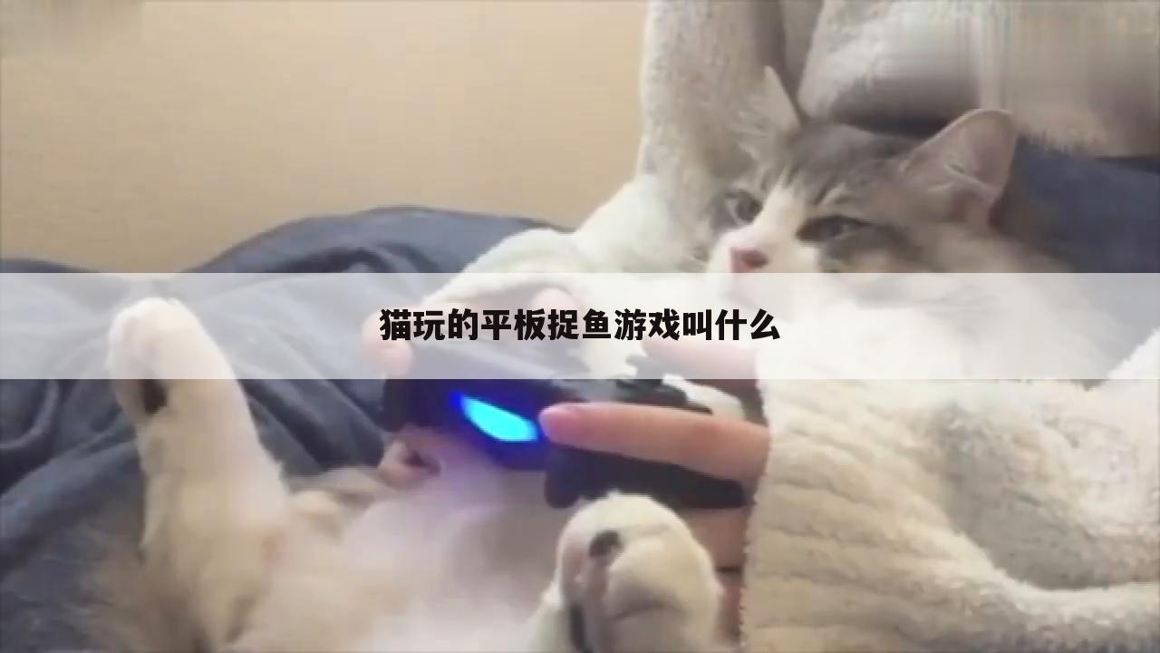 猫玩的平板捉鱼游戏叫什么