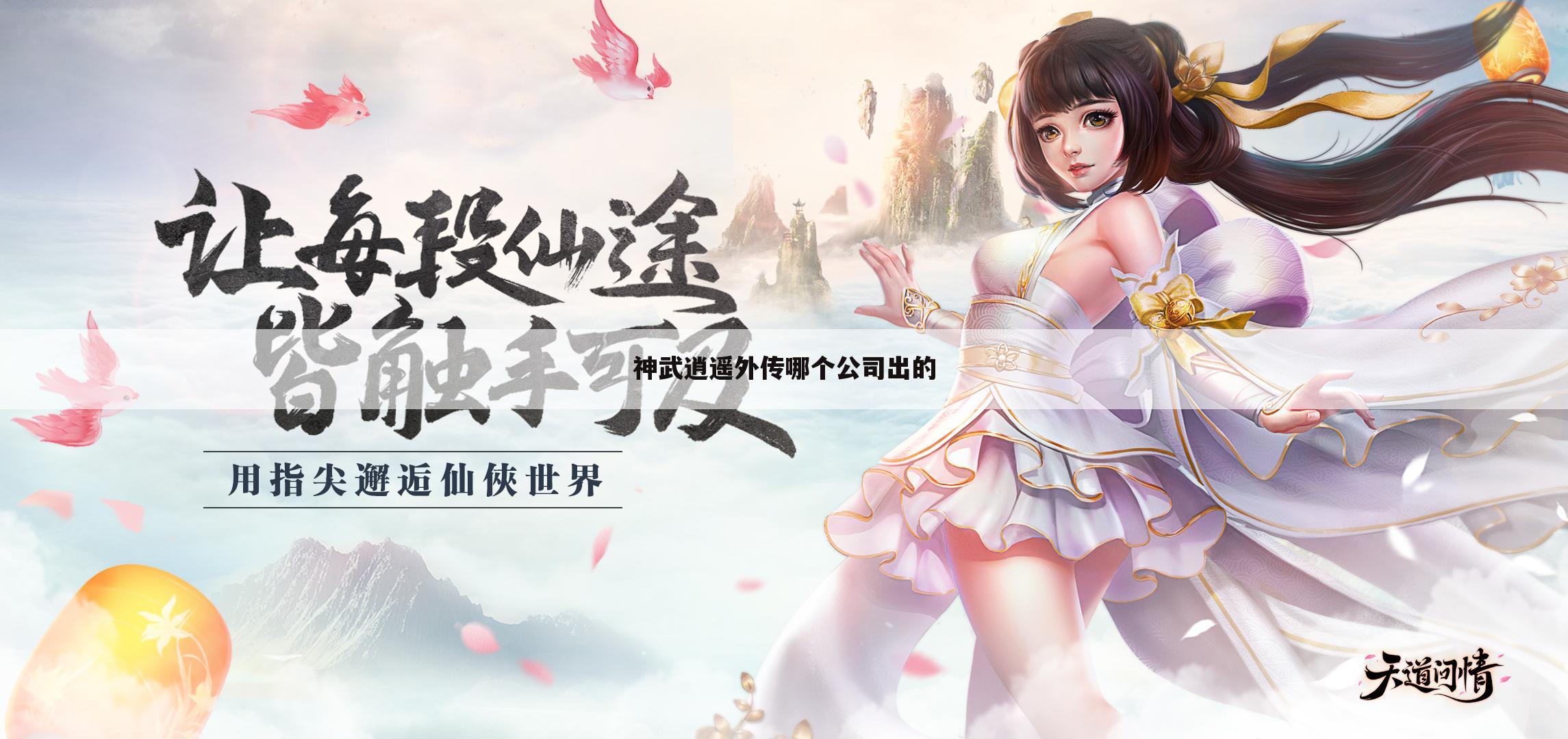 神武逍遥外传哪个公司出的