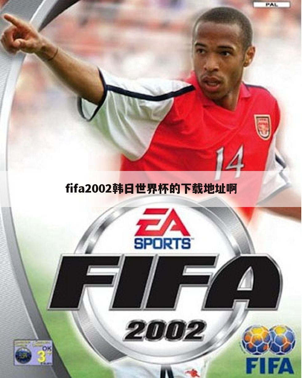 fifa2002韩日世界杯的下载地址啊