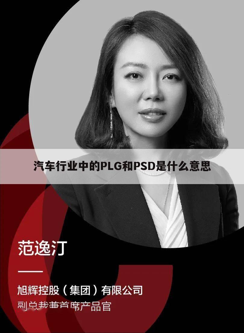 汽车行业中的PLG和PSD是什么意思