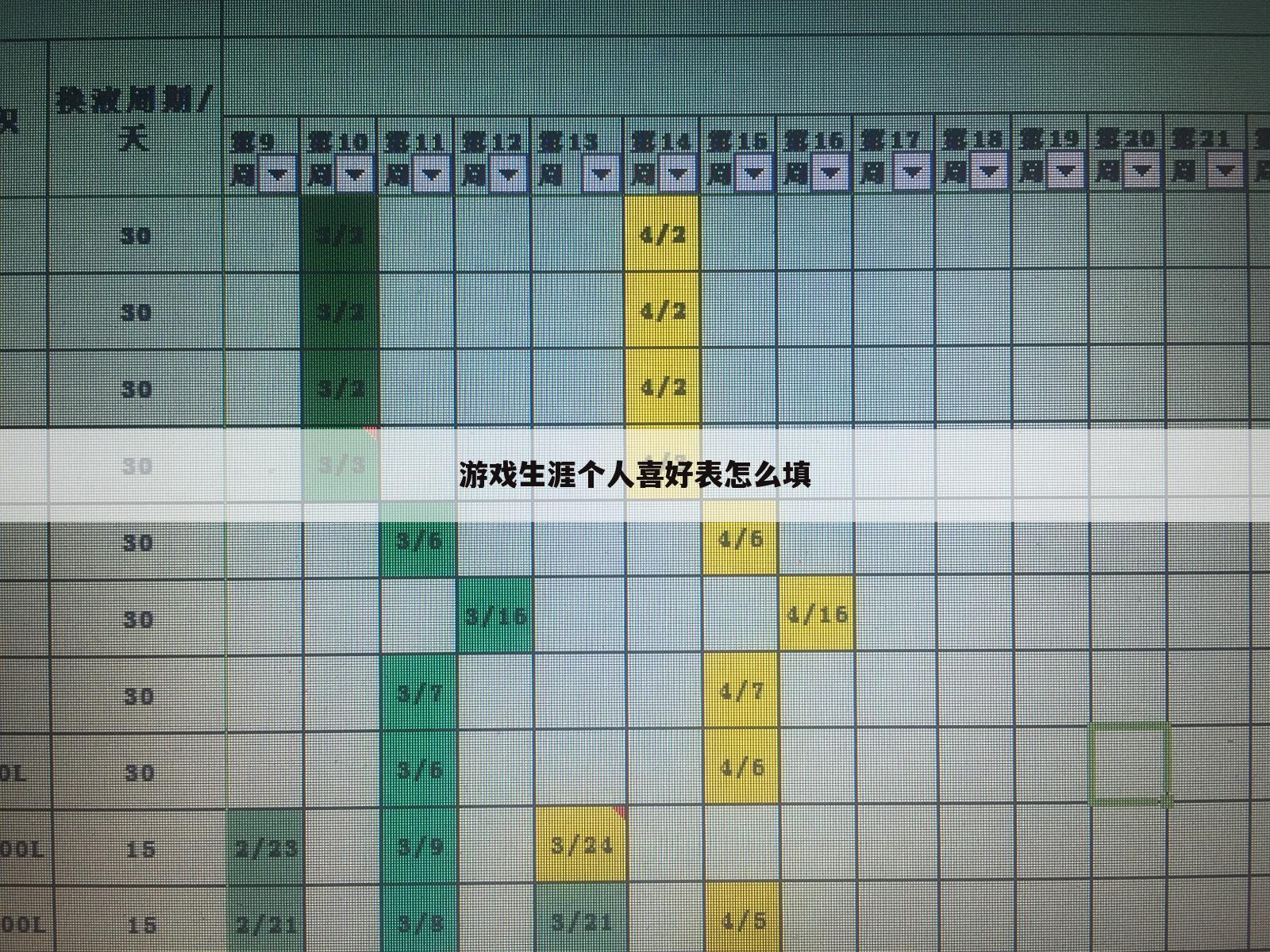 游戏生涯个人喜好表怎么填