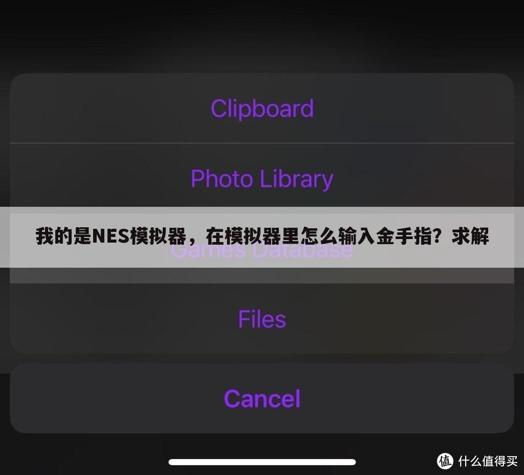 我的是NES模拟器,在模拟器里怎么输入金手指?求解