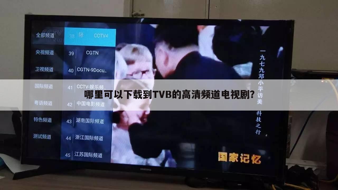 哪里可以下载到TVB的高清频道电视剧?