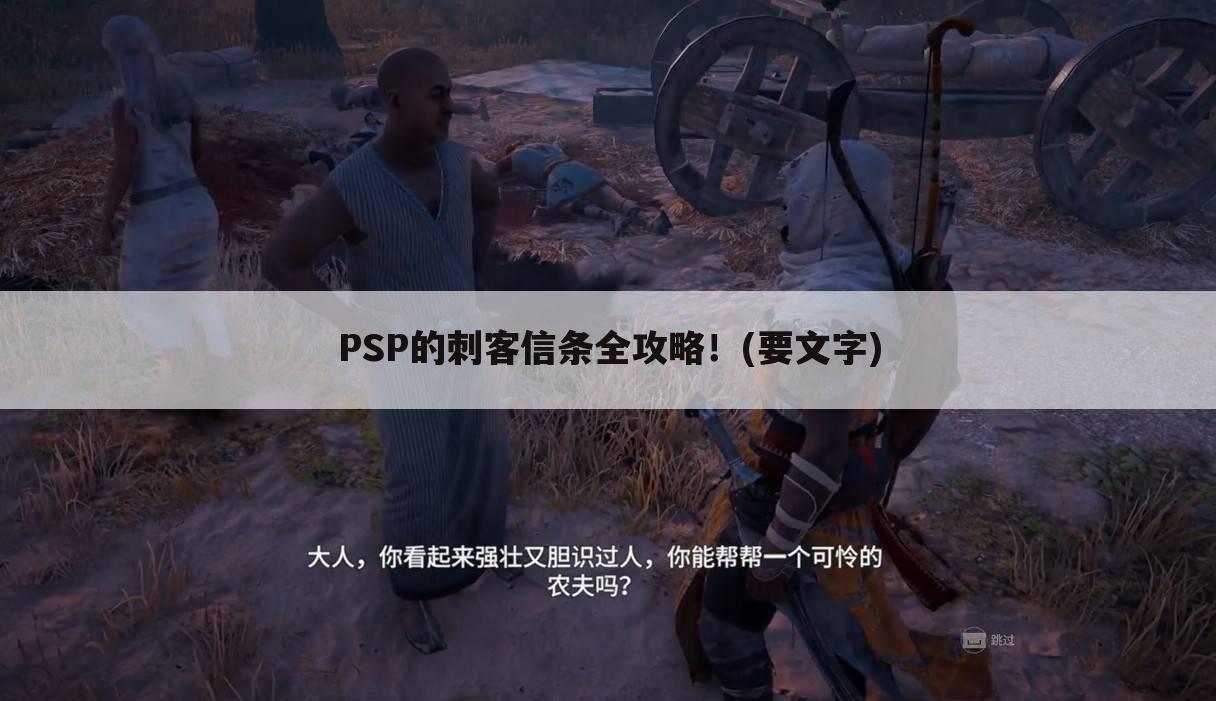 PSP的刺客信条全攻略！(要文字)
