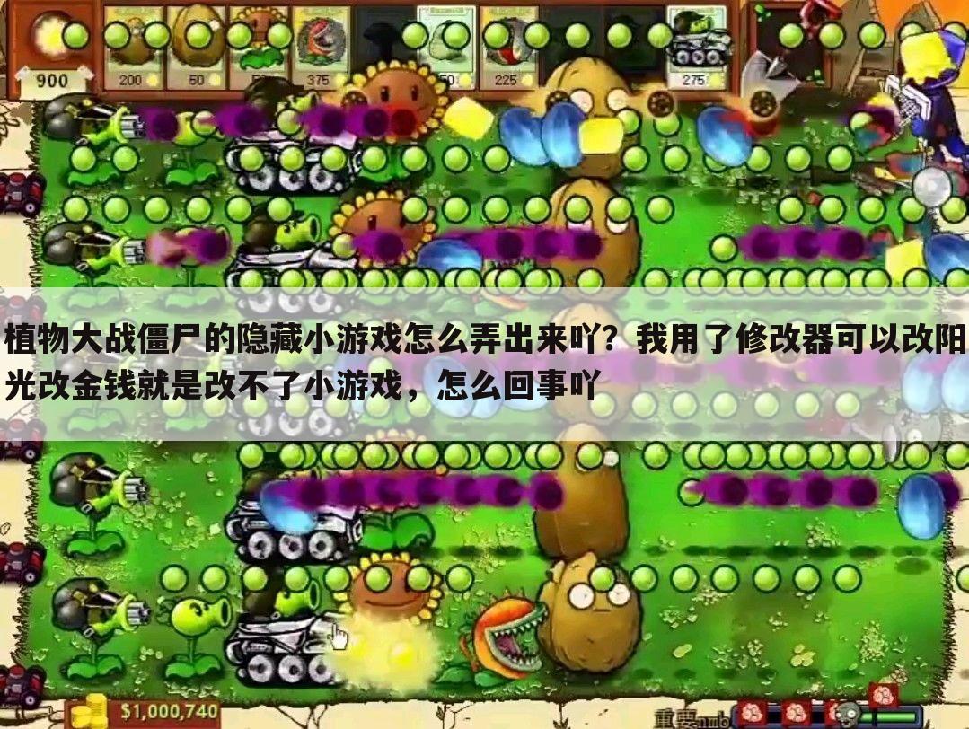 植物大战僵尸的隐藏小游戏怎么弄出来吖？我用了修改器可以改阳光改金钱就是改不了小游戏，怎么回事吖