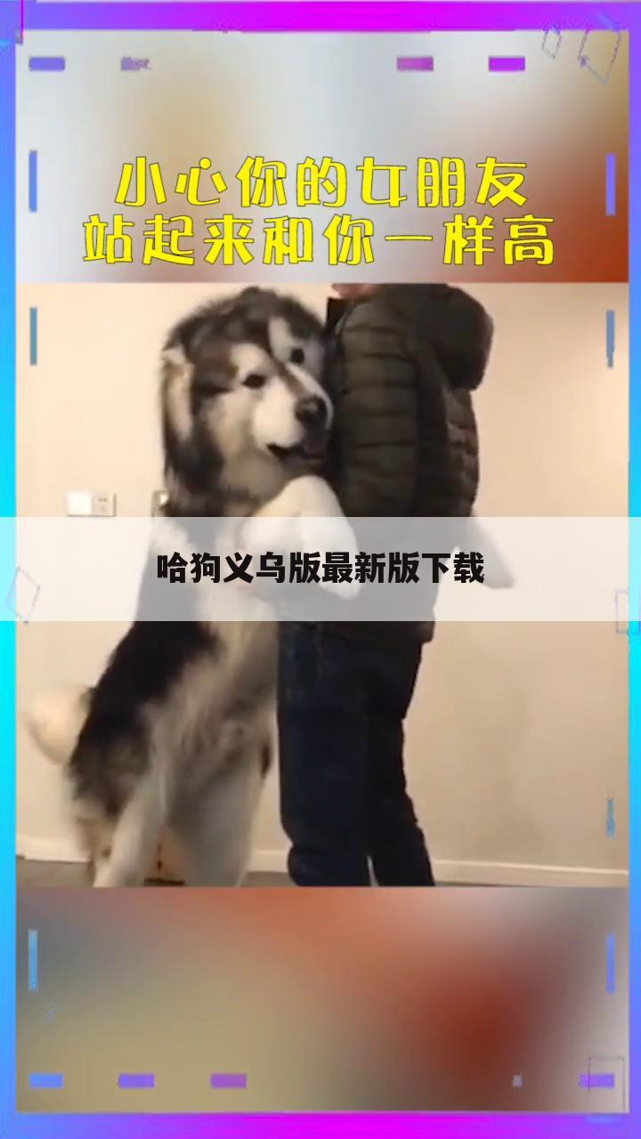 哈狗义乌版最新版下载