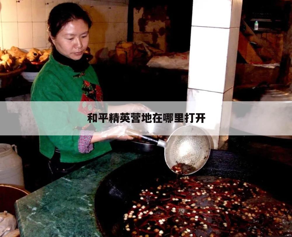 和平精英营地在哪里打开