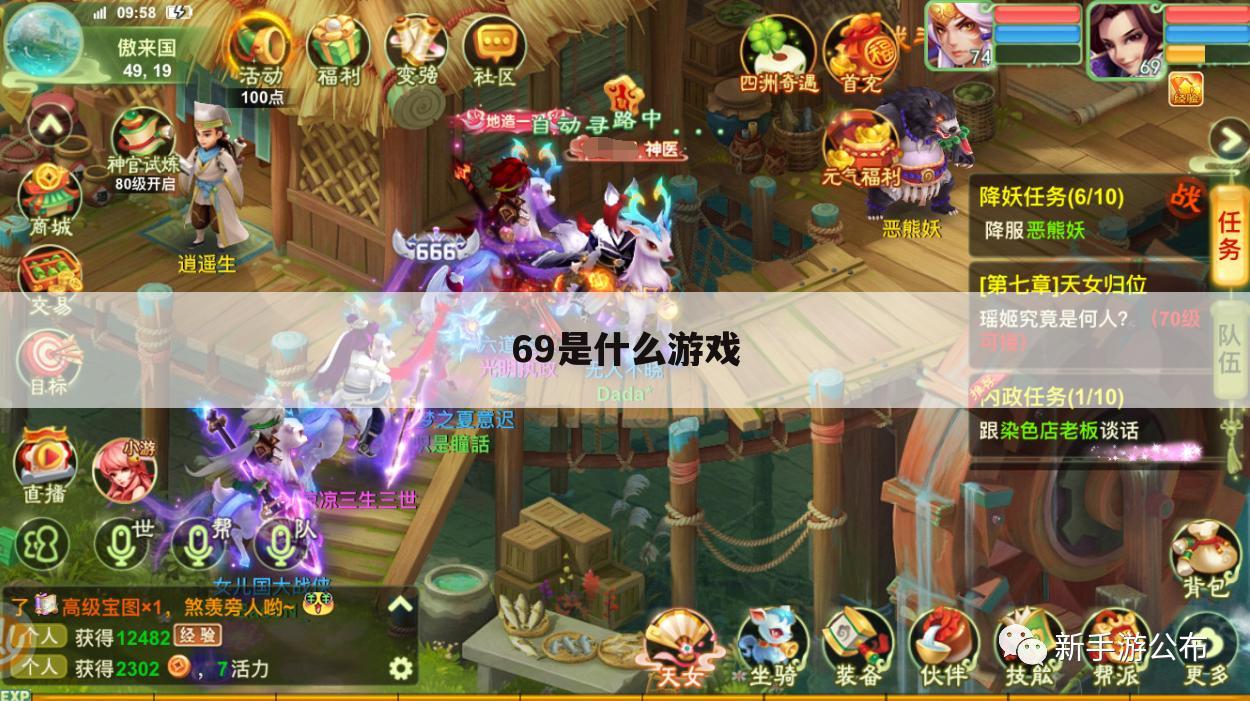 69是什么游戏