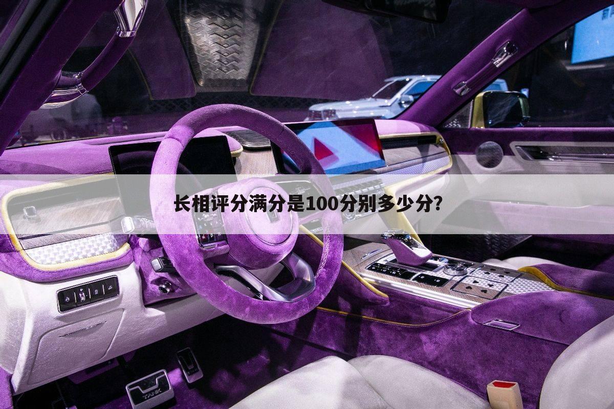 长相评分满分是100分别多少分?