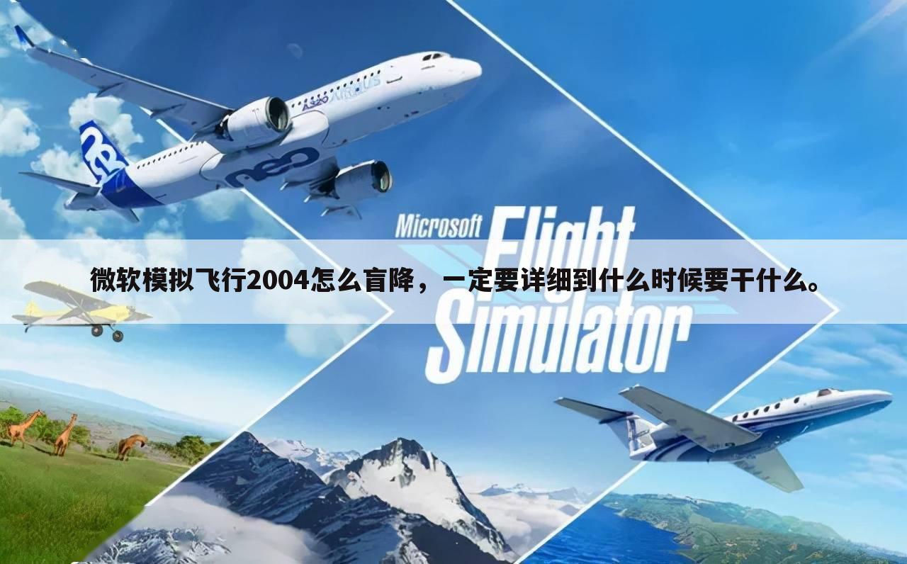 微软模拟飞行2004怎么盲降,一定要详细到什么时候要干什么。