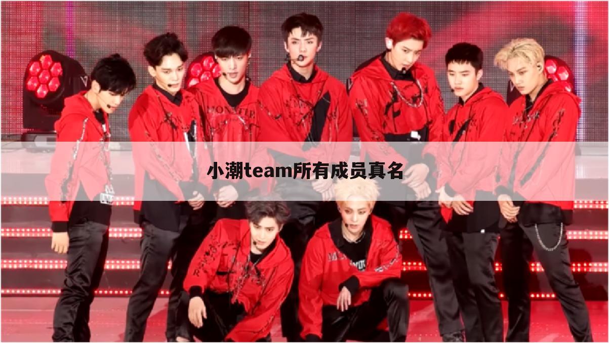 小潮team所有成员真名