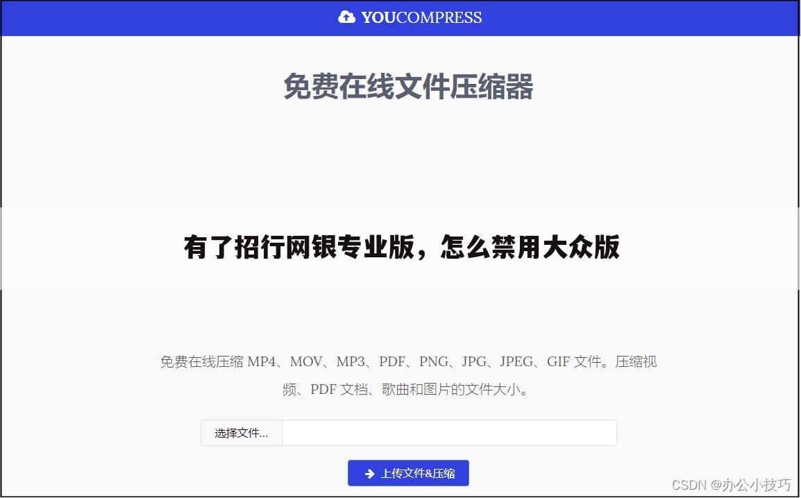 有了招行网银专业版,怎么禁用大众版