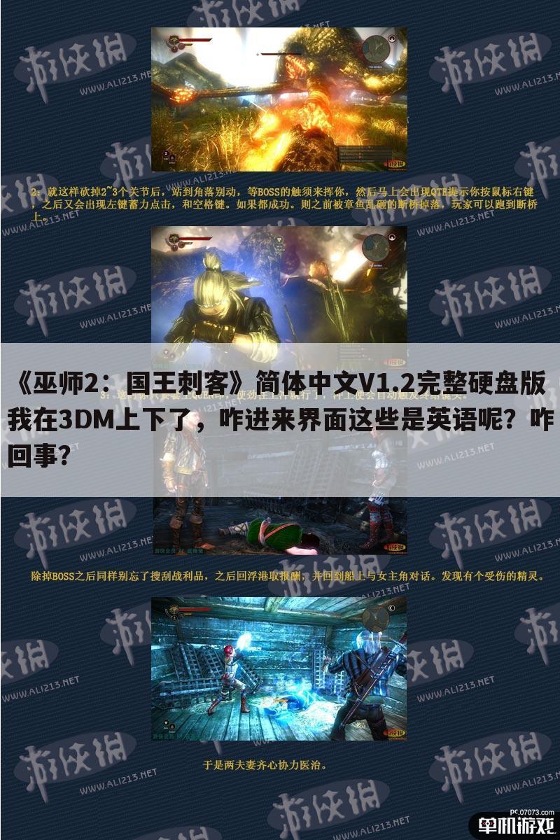 《巫师2:国王刺客》简体中文V1.2完整硬盘版 我在3DM上下了,咋进来界面这些是英语呢?咋回事?