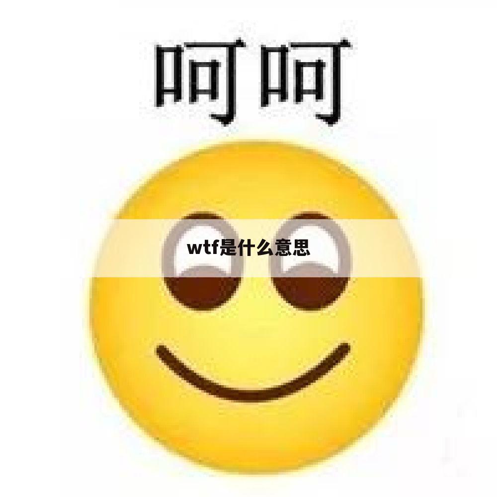 wtf是什么意思