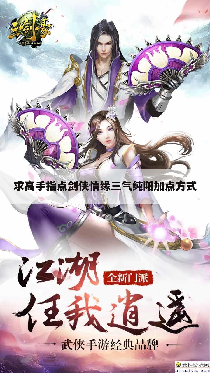 求高手指点剑侠情缘三气纯阳加点方式