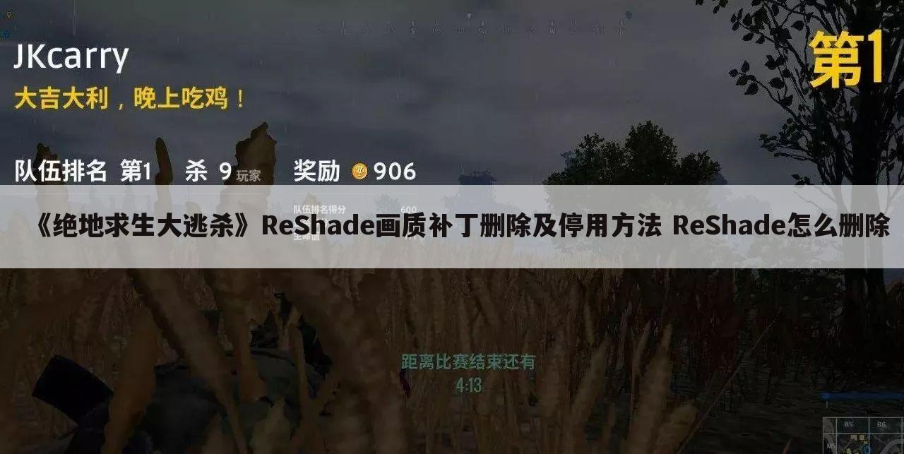 《绝地求生大逃杀》ReShade画质补丁删除及停用方法 ReShade怎么删除