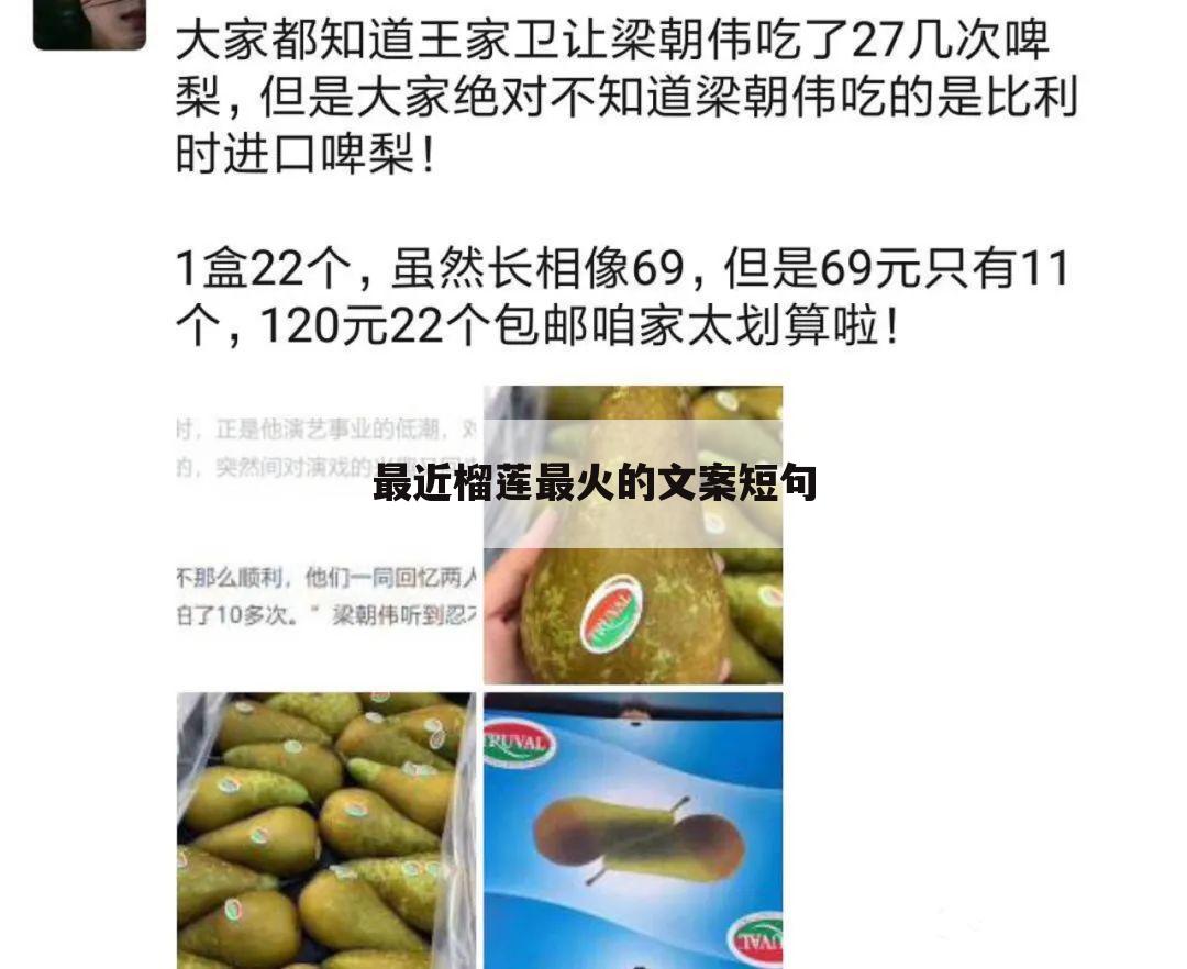 最近榴莲最火的文案短句