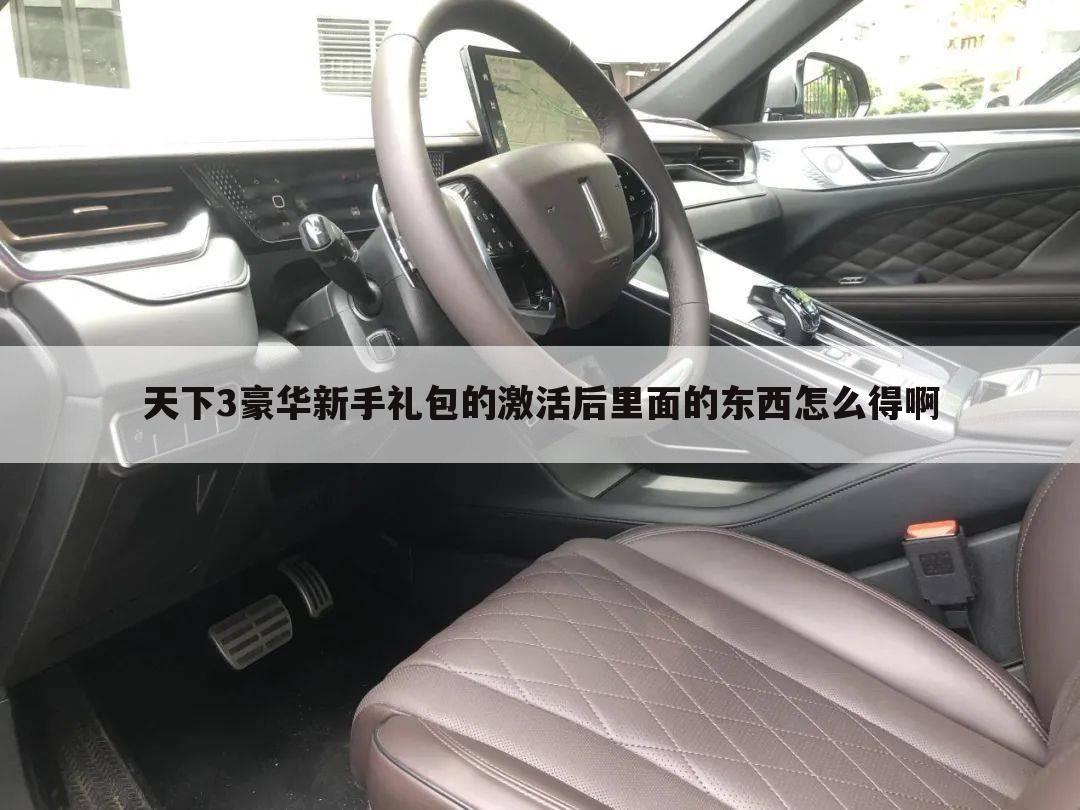 天下3豪华新手礼包的激活后里面的东西怎么得啊