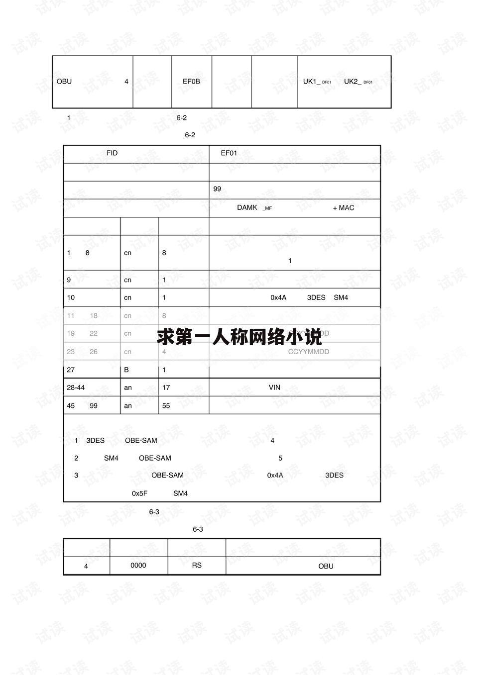 求第一人称网络小说