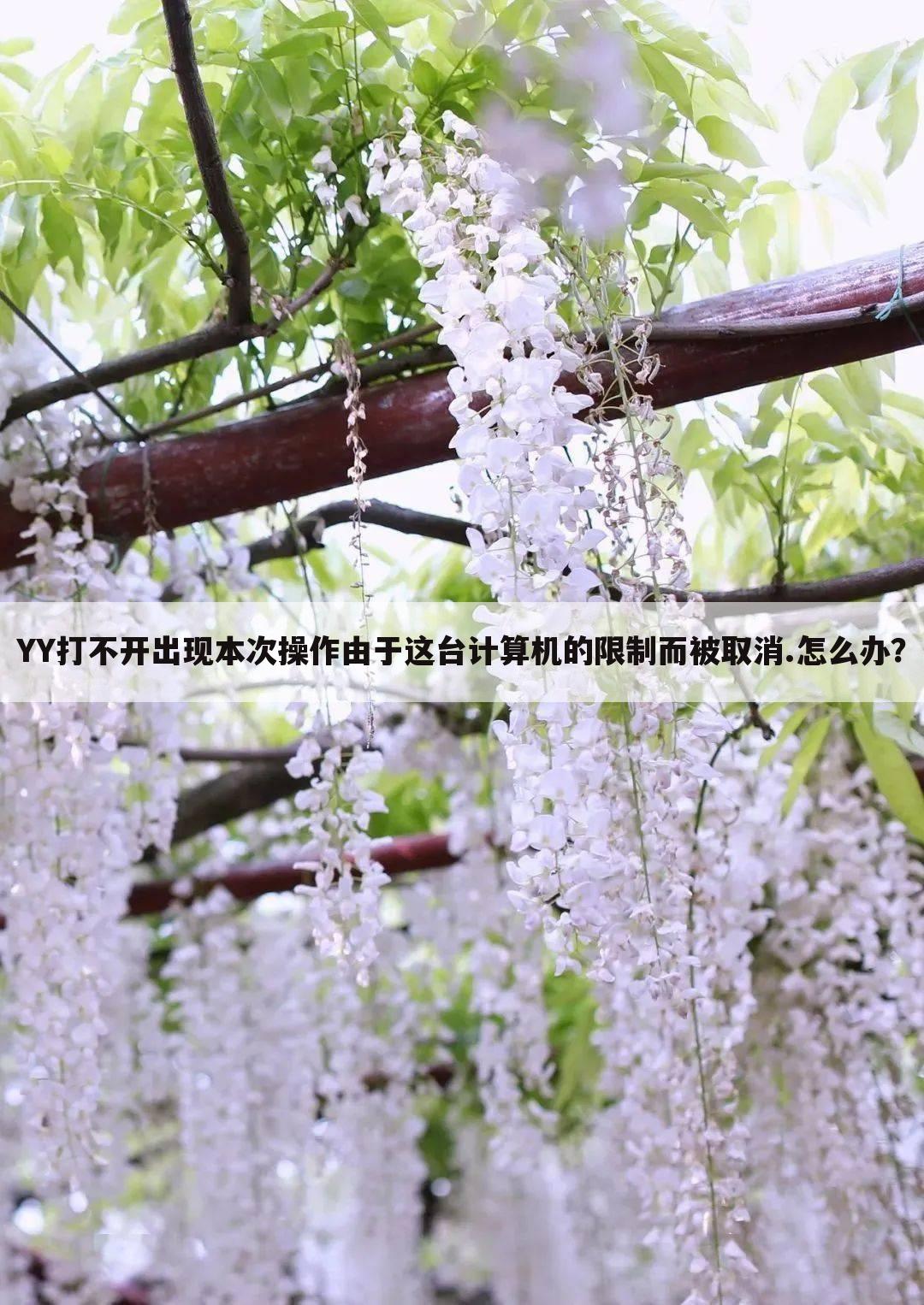 YY打不开出现本次操作由于这台计算机的限制而被取消.怎么办?