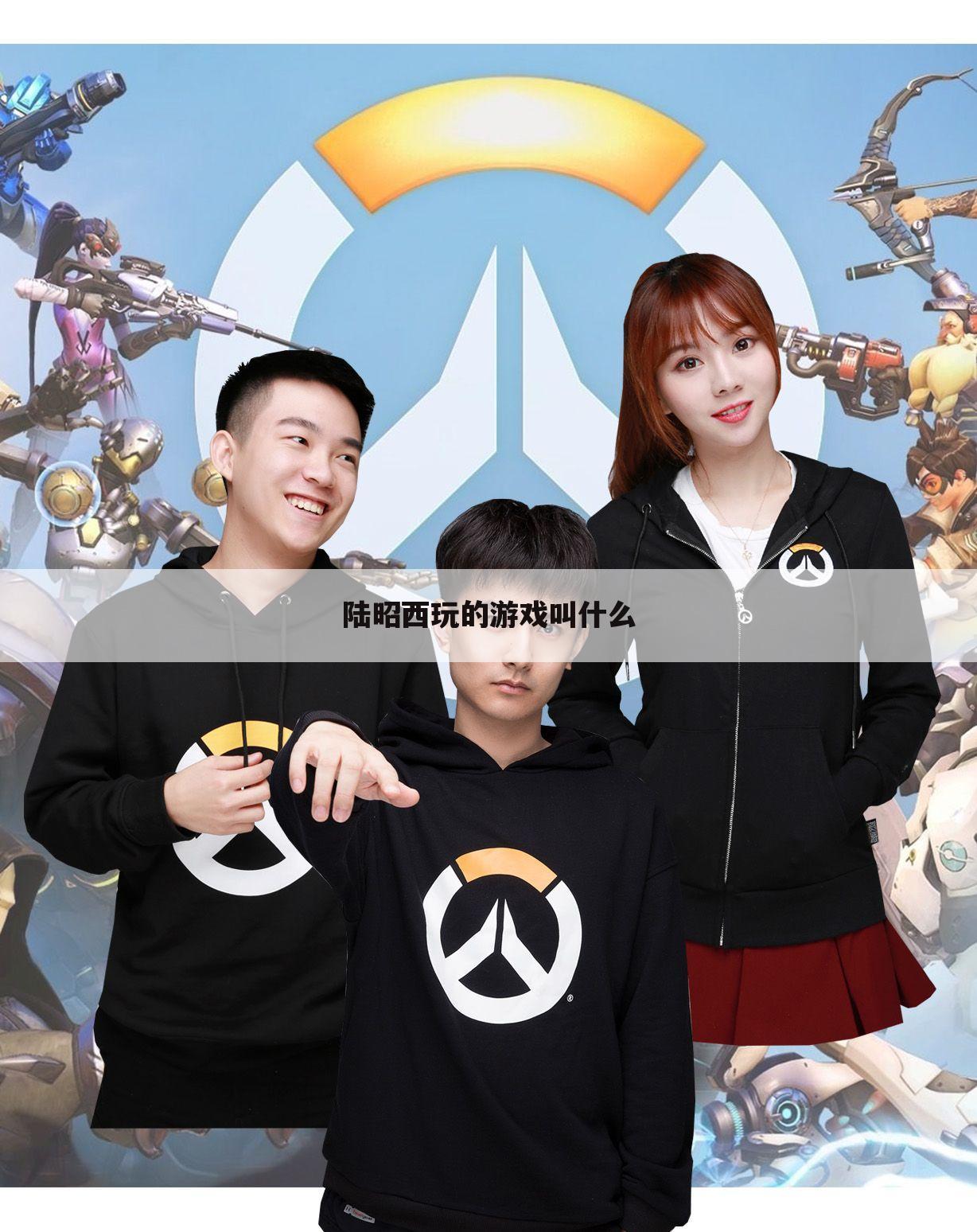 陆昭西玩的游戏叫什么
