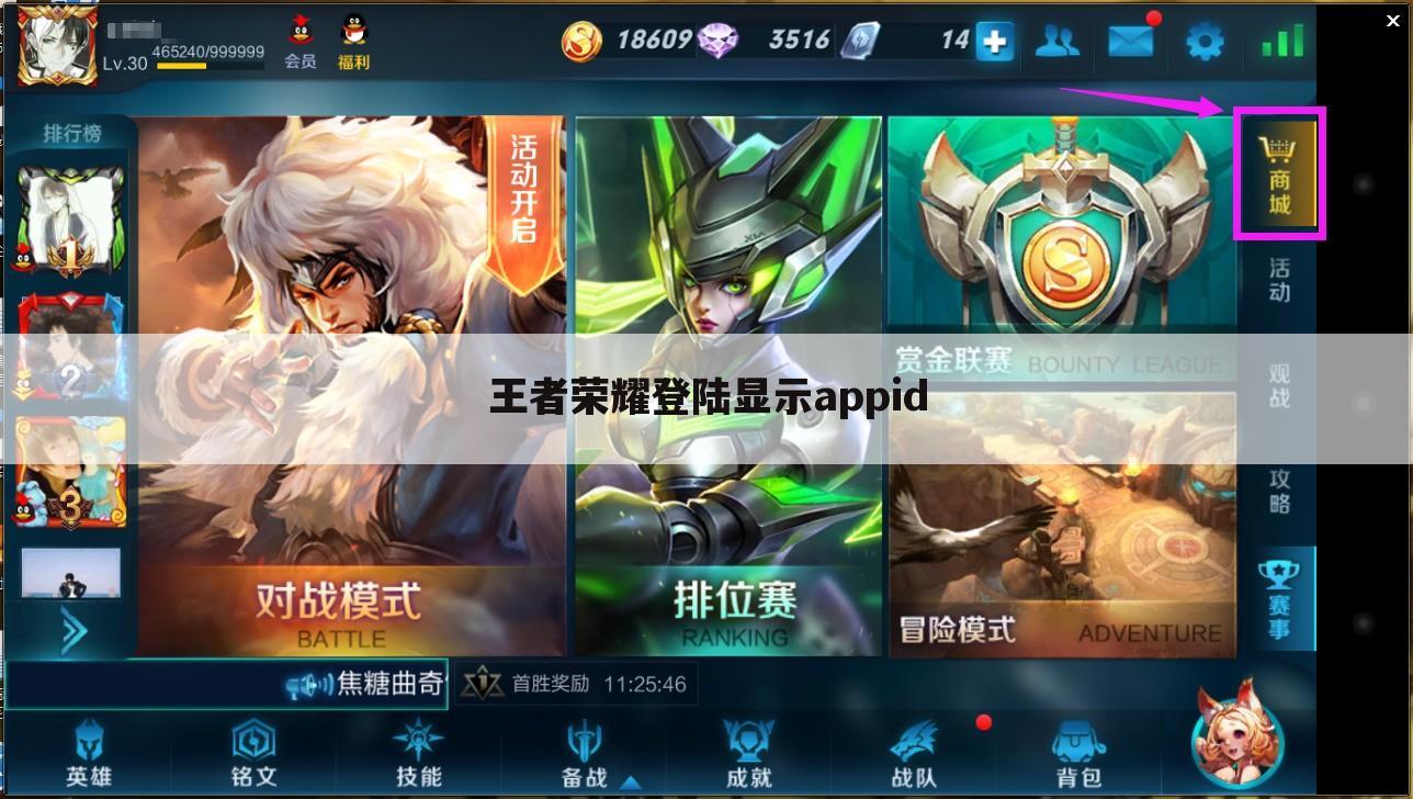 王者荣耀登陆显示appid
