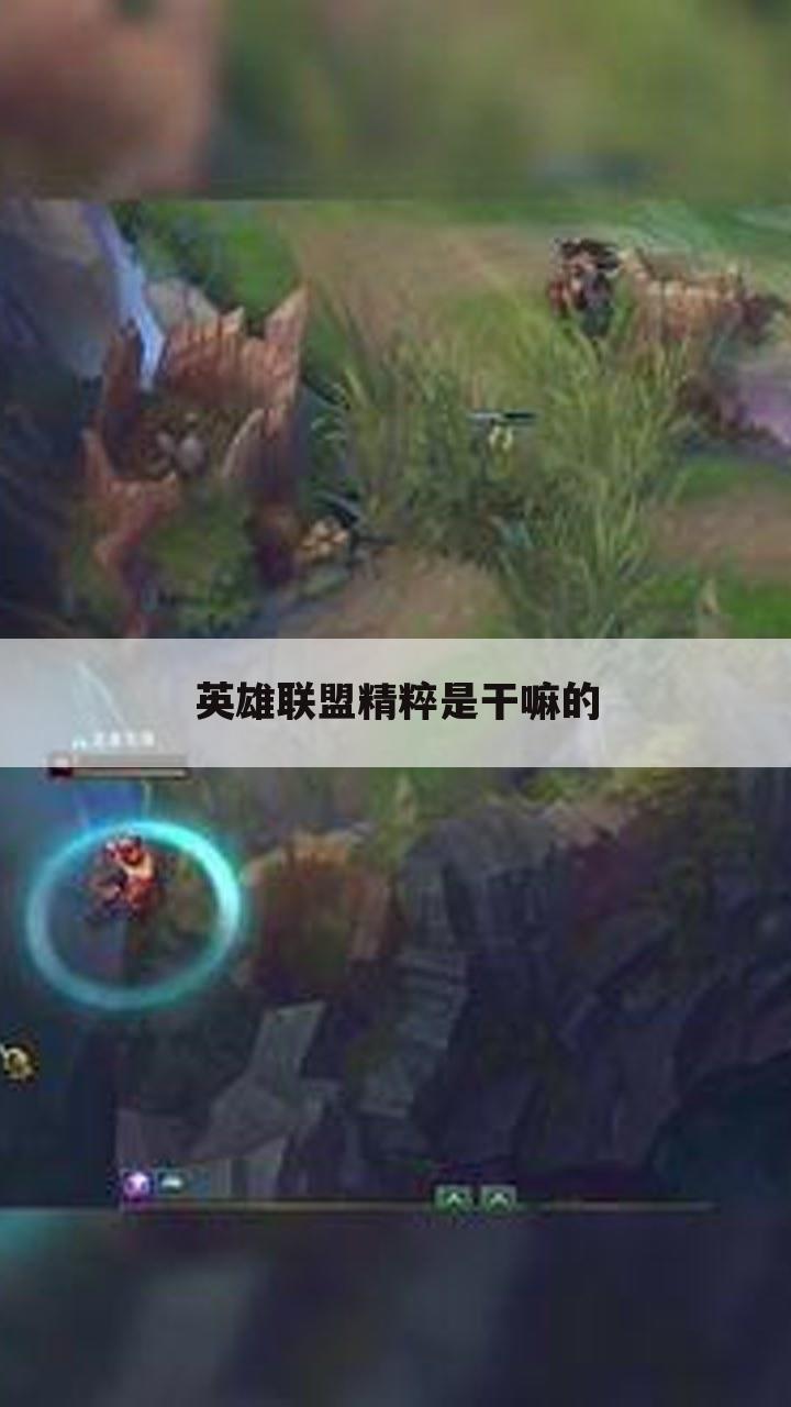 英雄联盟精粹是干嘛的