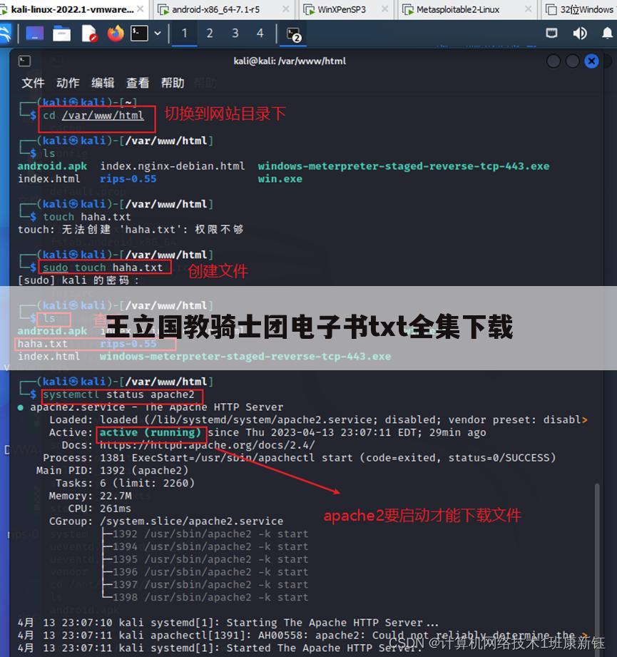 王立国教骑士团电子书txt全集下载