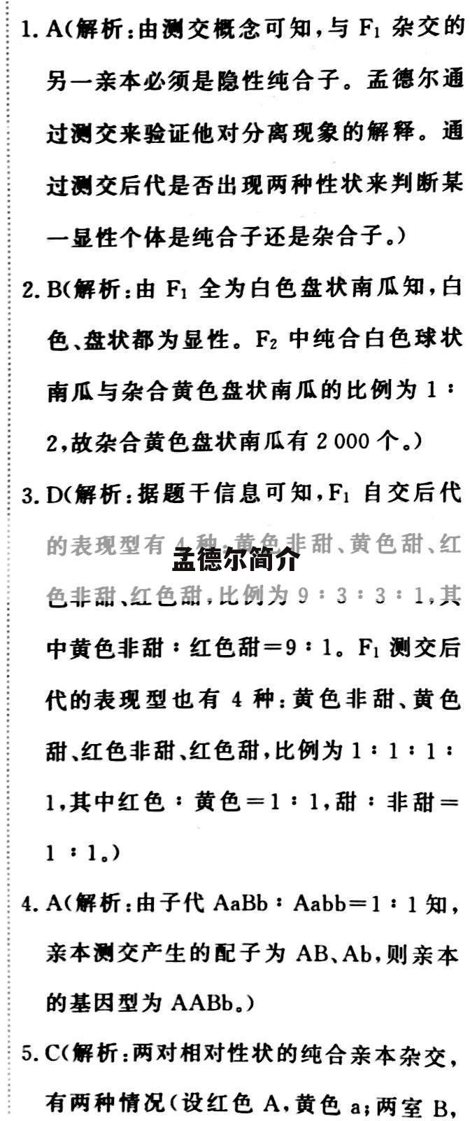 孟德尔简介
