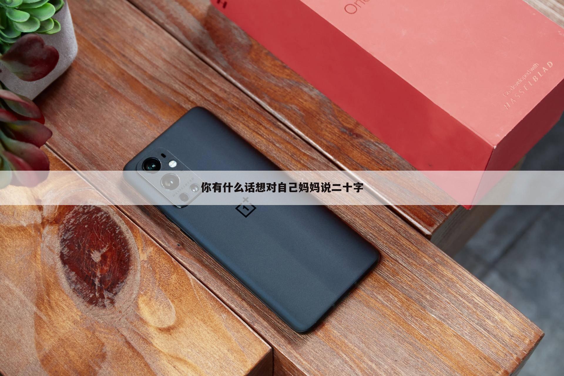 你有什么话想对自己妈妈说二十字