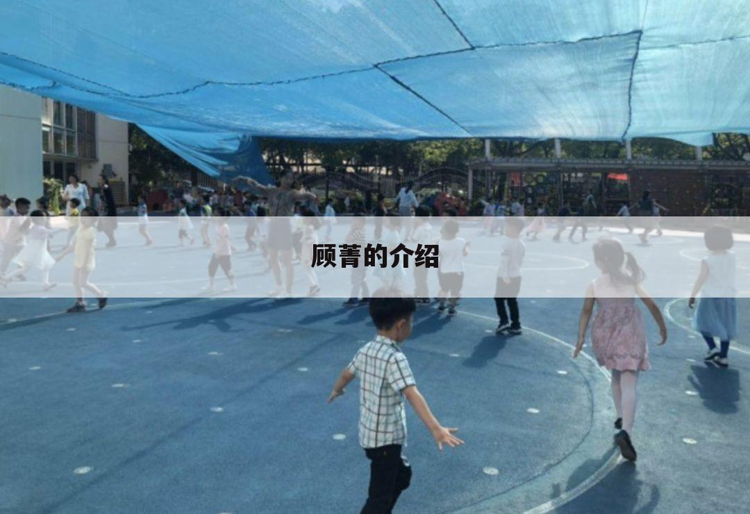 顾菁的介绍