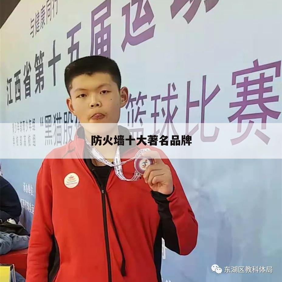 防火墙十大著名品牌