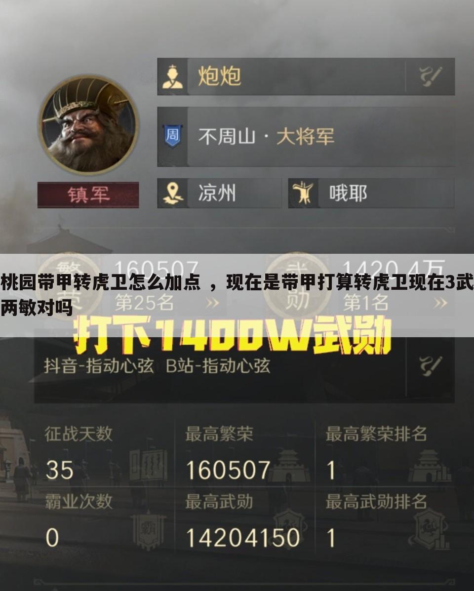 桃园带甲转虎卫怎么加点 ,现在是带甲打算转虎卫现在3武两敏对吗