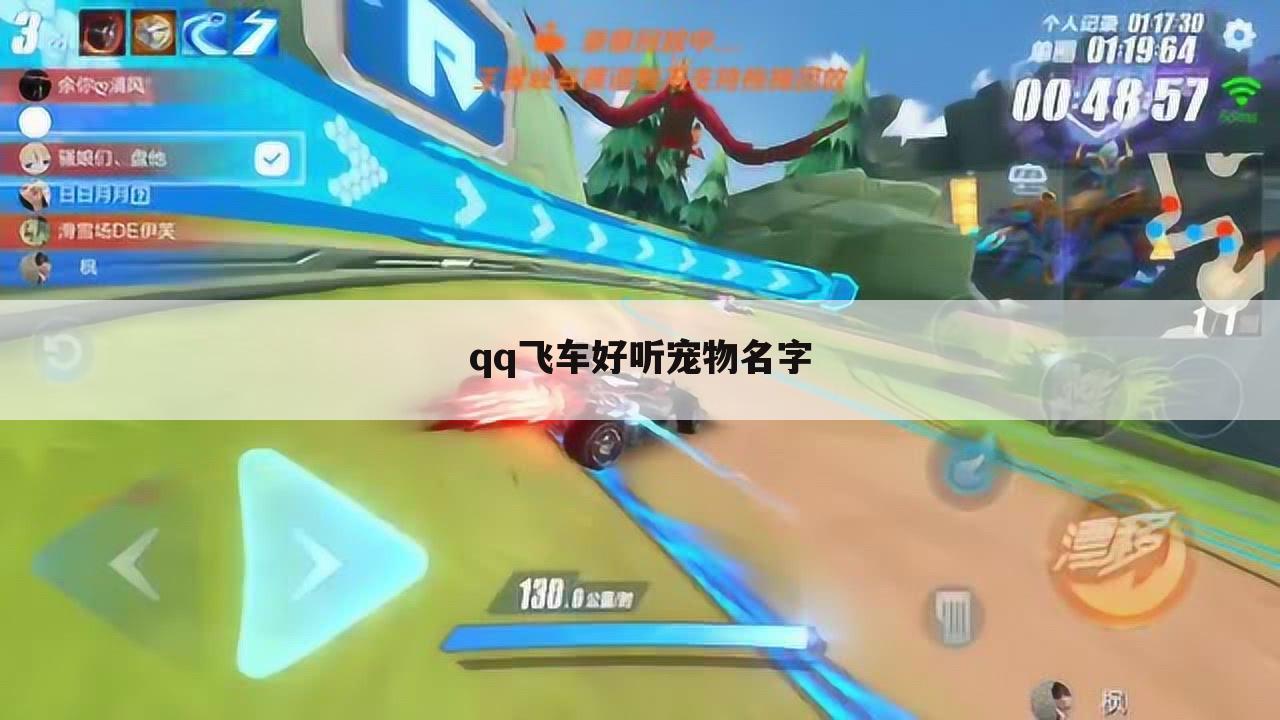 qq飞车好听宠物名字