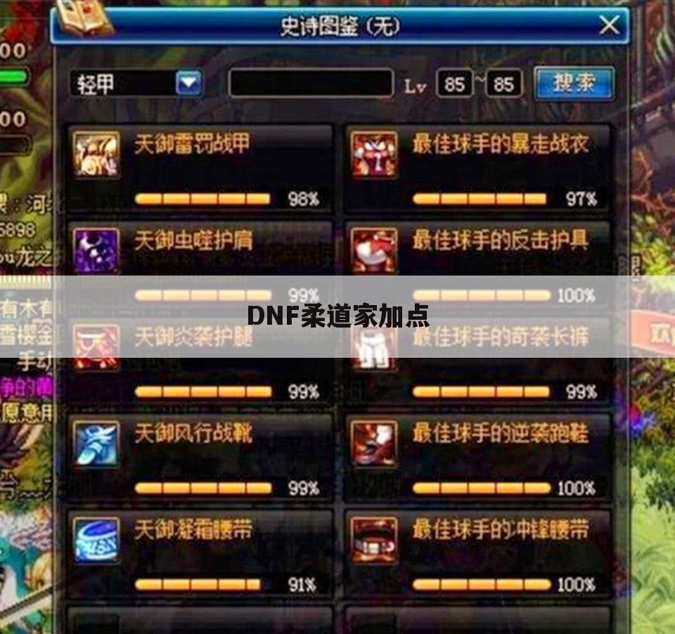 DNF柔道家加点