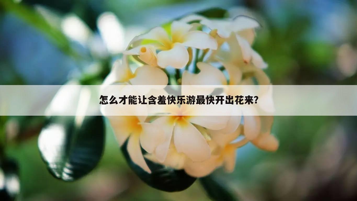 怎么才能让含羞快乐游最快开出花来?