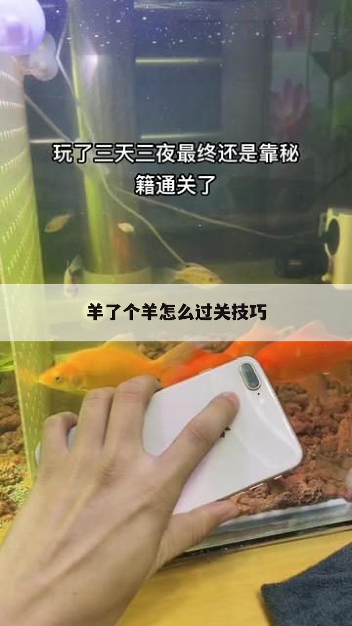 羊了个羊怎么过关技巧