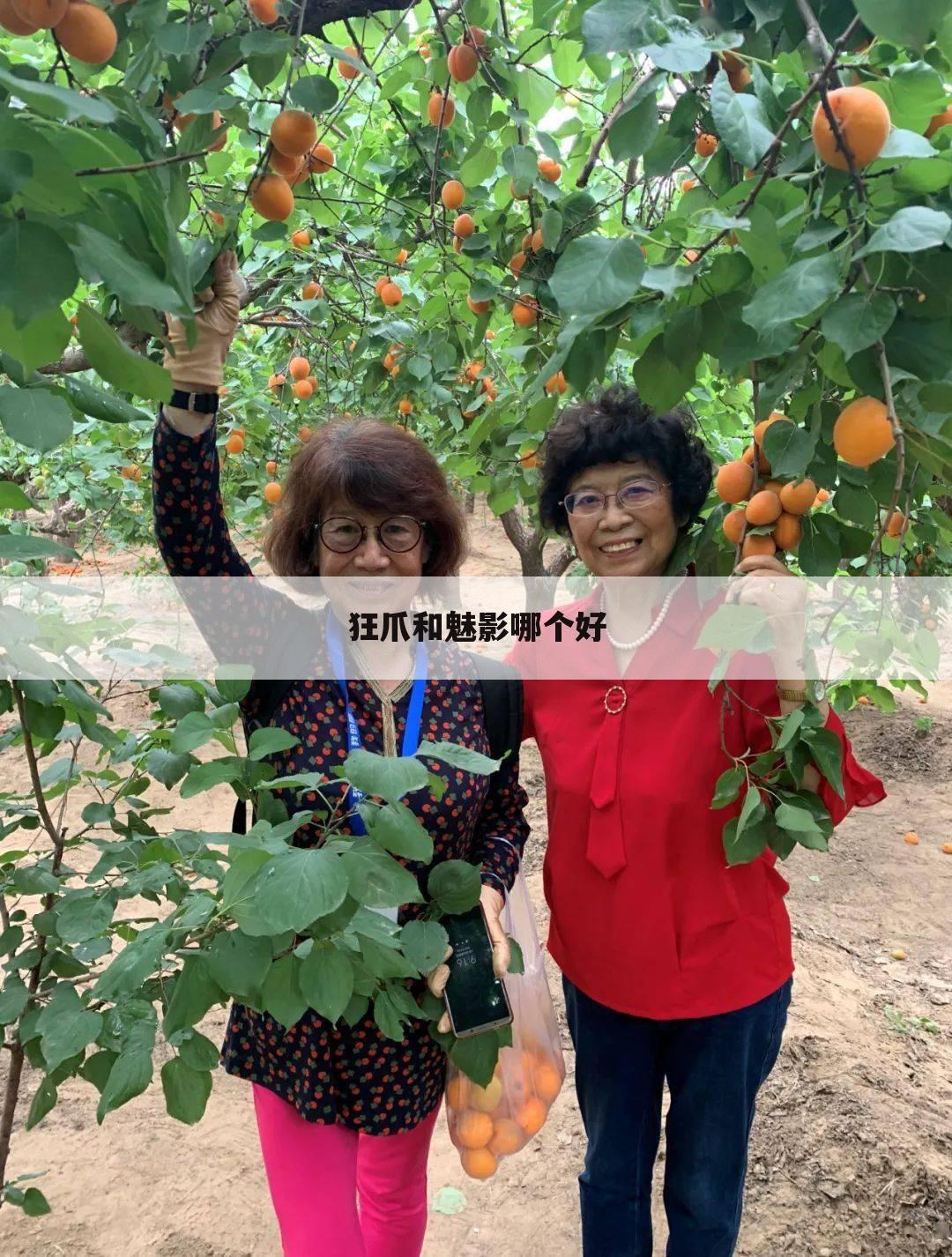 狂爪和魅影哪个好