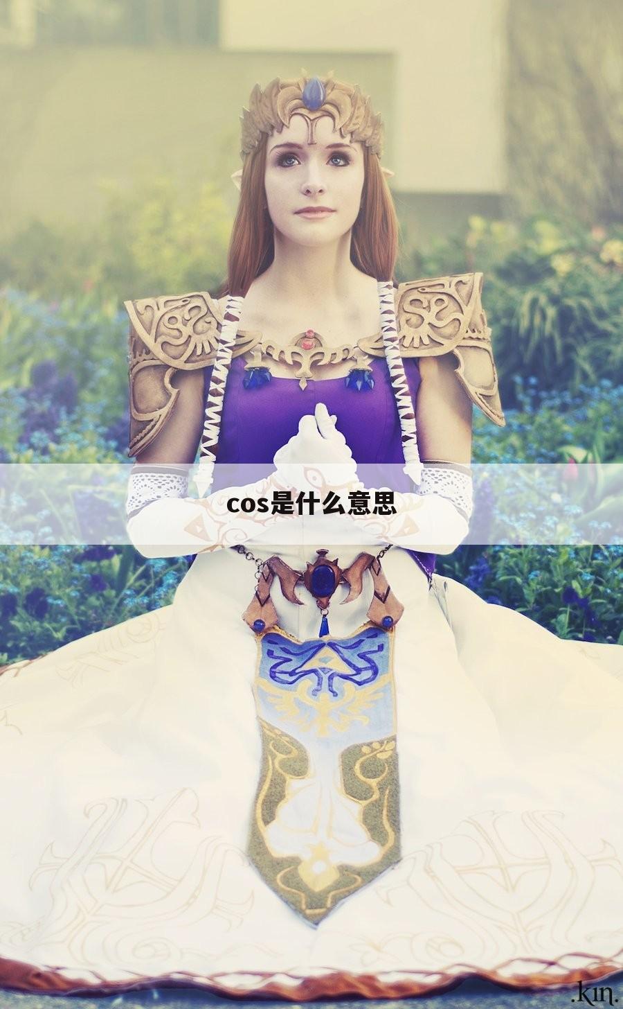 cos是什么意思