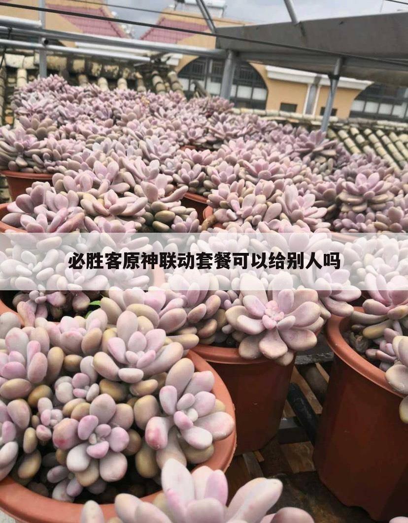 必胜客原神联动套餐可以给别人吗