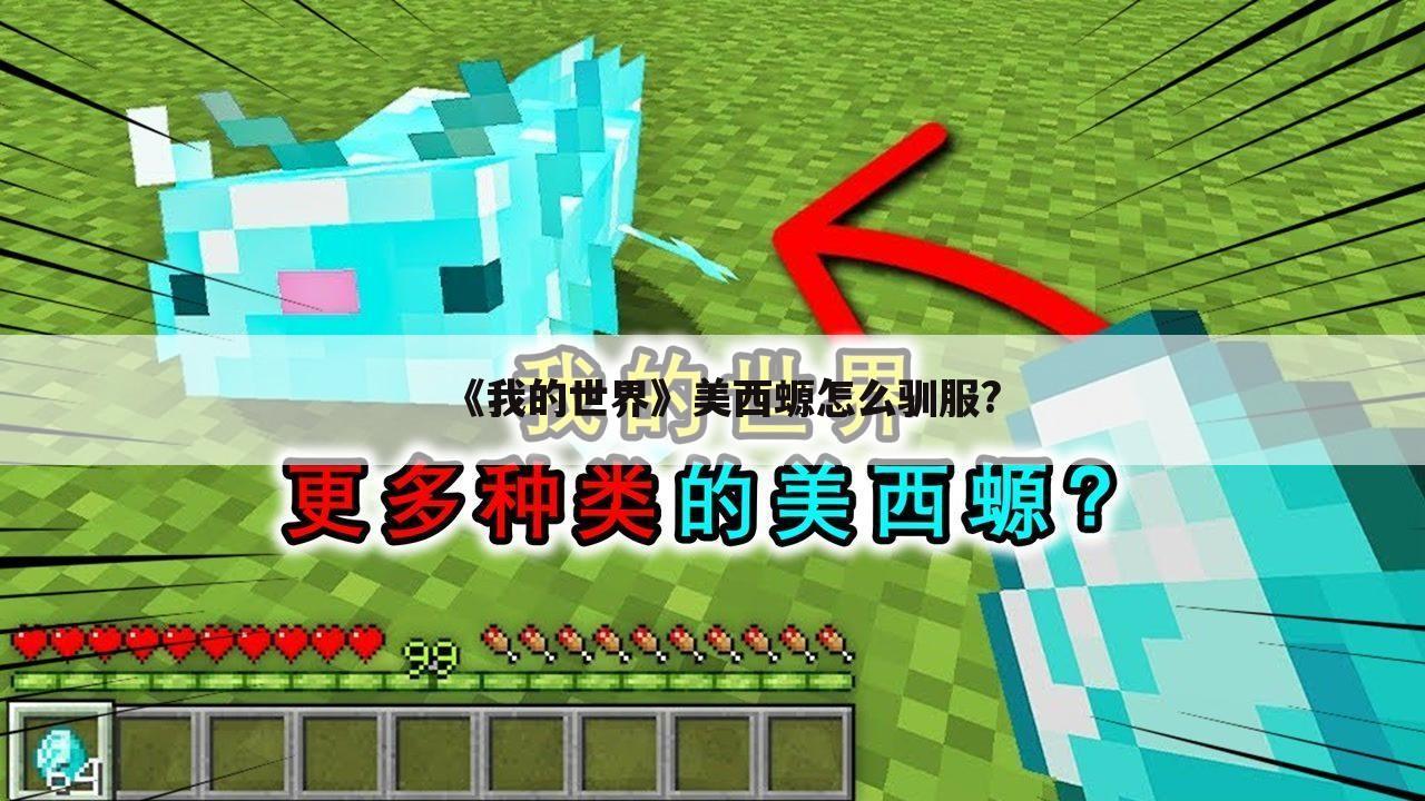 《我的世界》美西螈怎么驯服?