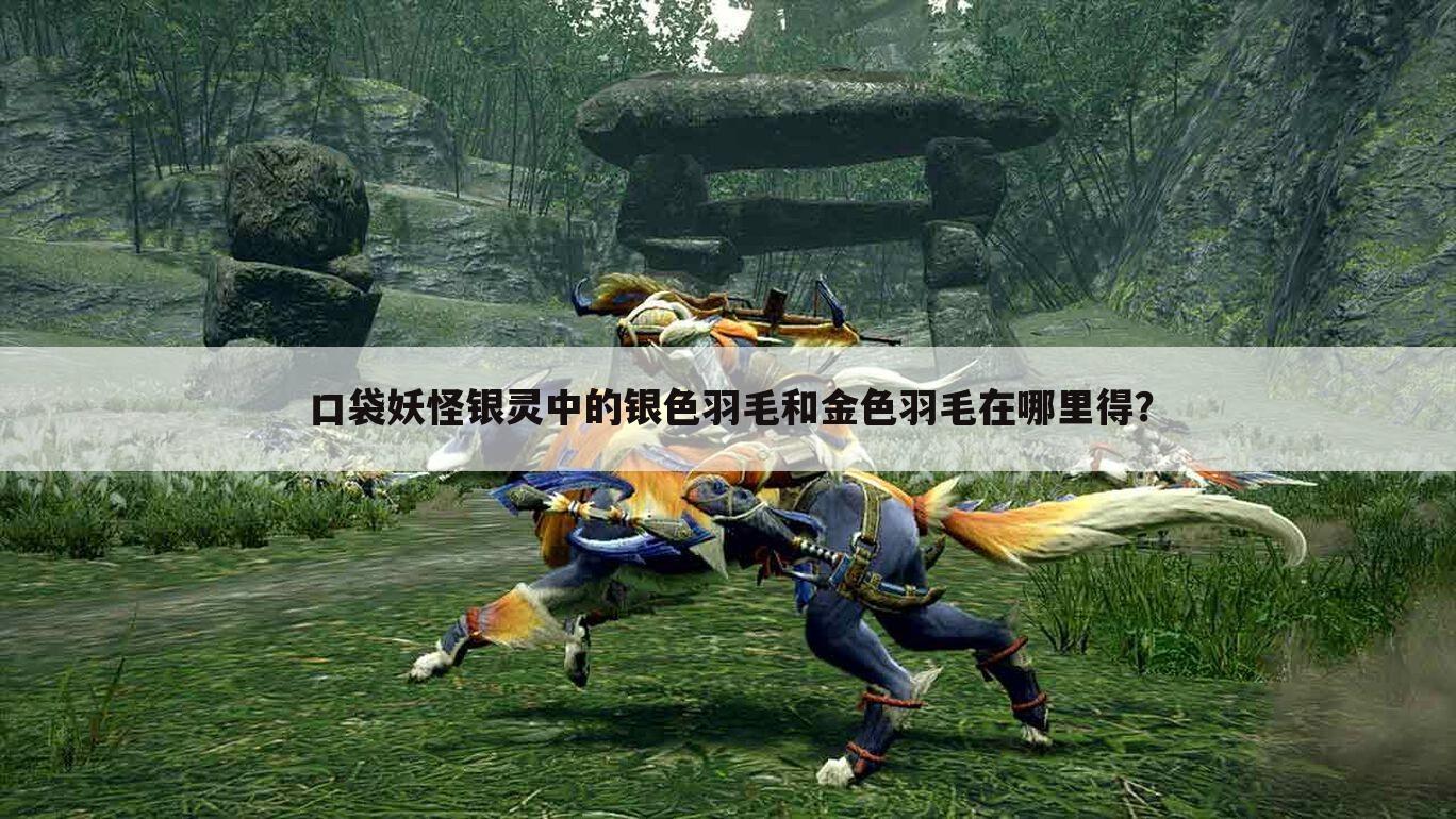 口袋妖怪银灵中的银色羽毛和金色羽毛在哪里得?