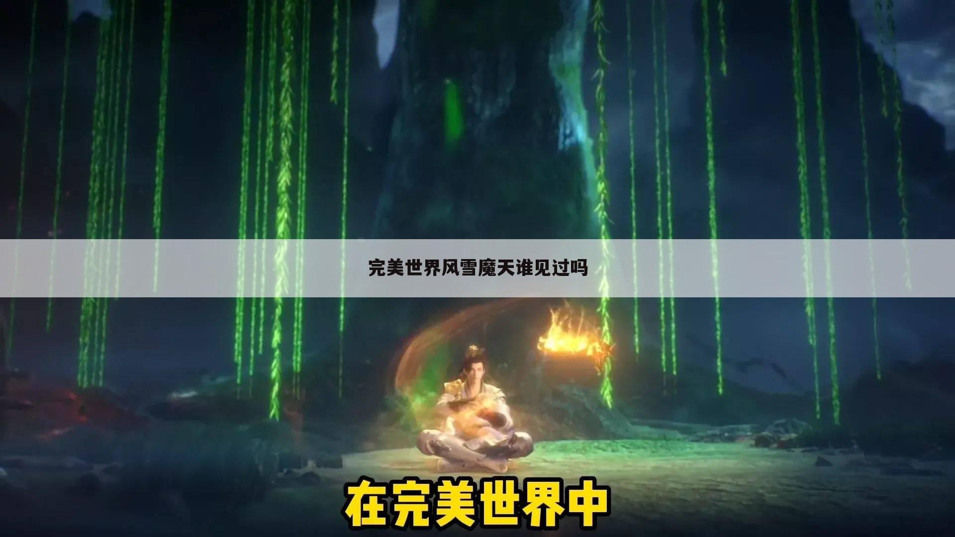 完美世界风雪魔天谁见过吗
