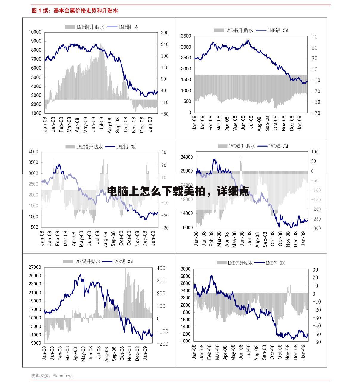 电脑上怎么下载美拍,详细点