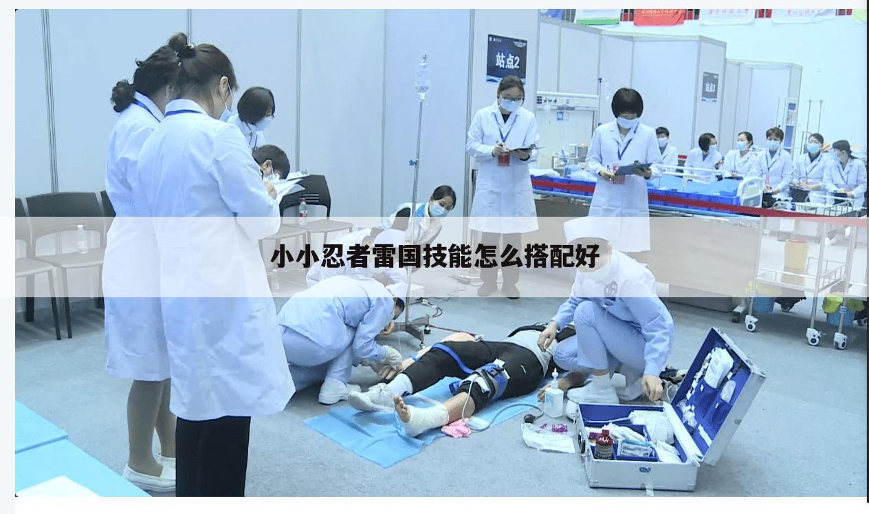 小小忍者雷国技能怎么搭配好