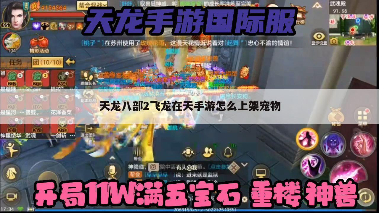 天龙八部2飞龙在天手游怎么上架宠物